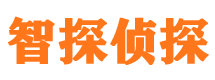 新民市婚外情调查